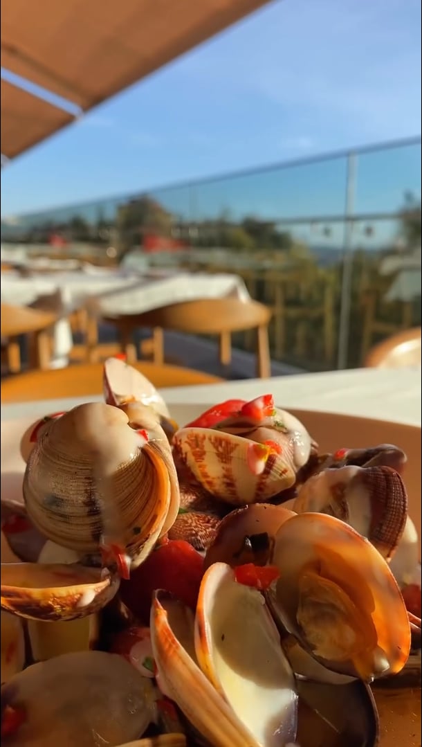 Terrazza Italia — Story
